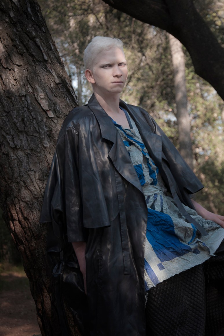 willem berhard albero800ancho